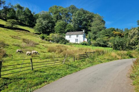 Farm Road Surfacing Kent