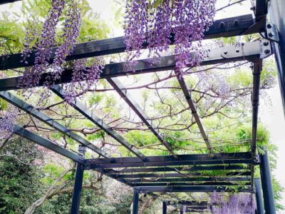 Garden pergola services Kent
